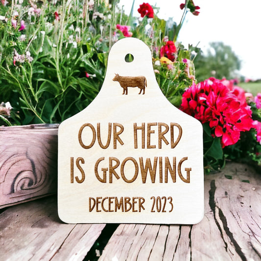 Our Herd is growing Pregnancy Annoucement