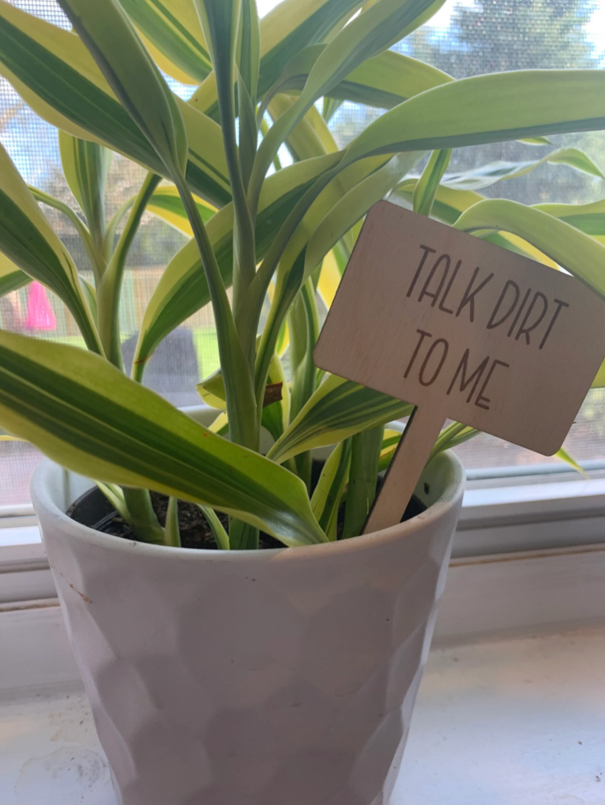 Dirty Phrase Plant Stakes