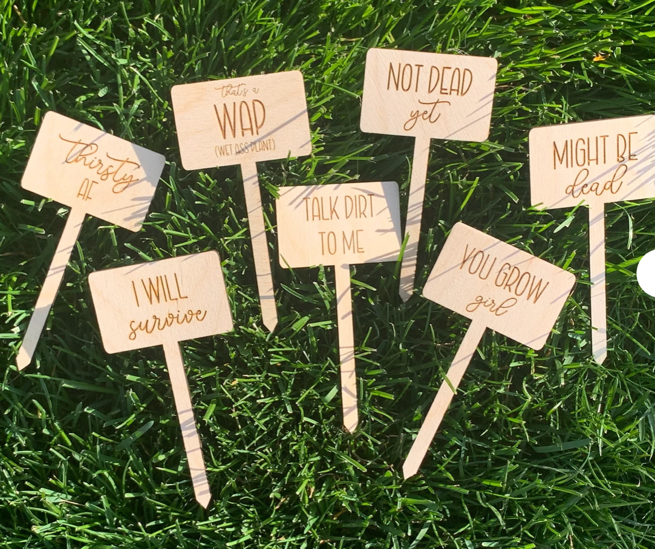 Dirty Phrase Plant Stakes