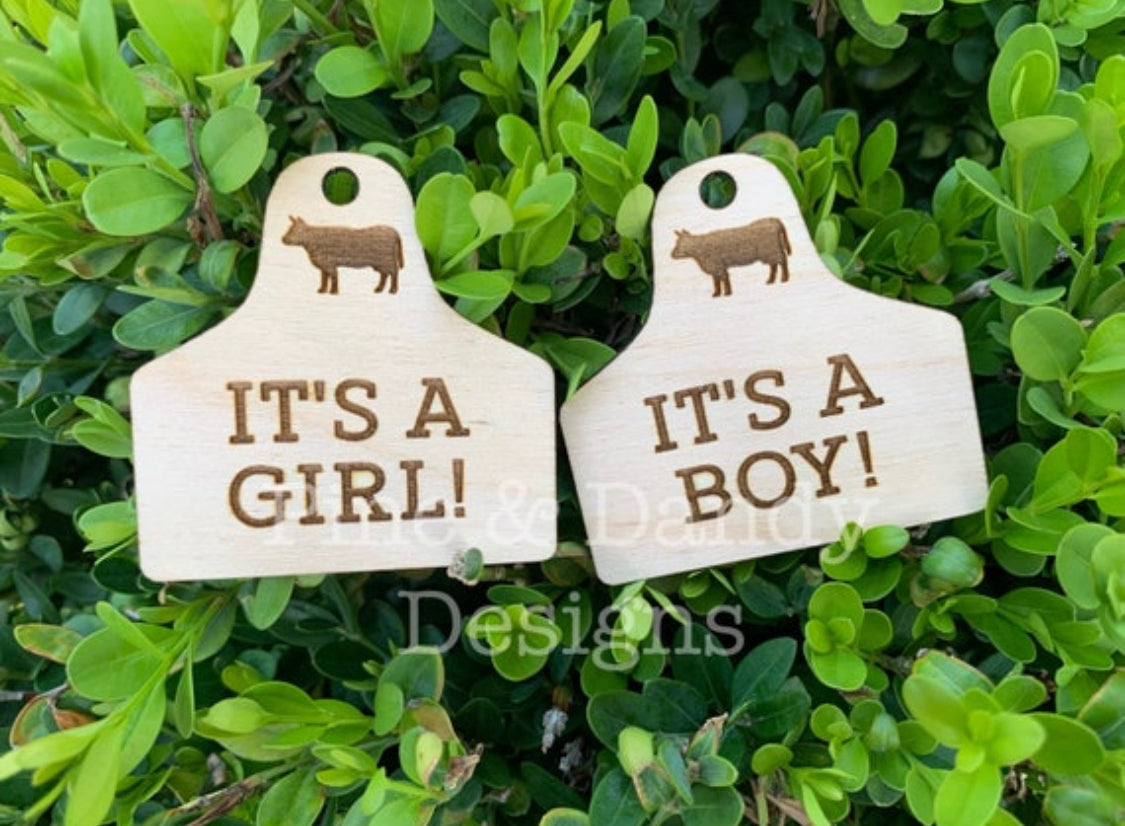 Cow tag gender reveal